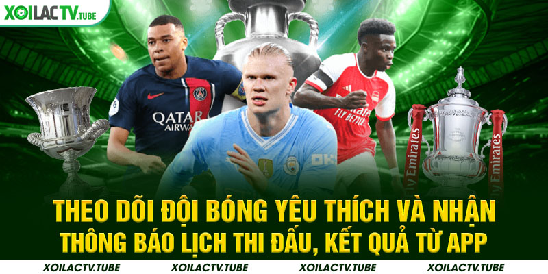 TRANG CHỦ 19 Theo dõi đội bóng yêu thích và nhận thông báo lịch thi đấu, kết quả từ app