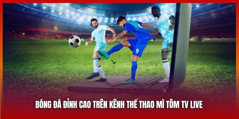 Mitom TV | Nơi Hội Tụ Những Con Tim Yêu Trái Bóng Tròn 2025 7 Bóng đá đỉnh cao trên kênh thể thao Mì Tôm TV Live