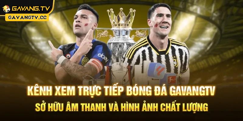 Gavangtv.cc | Thể Thao Đỉnh Cao | Tin Chất Lượng Mỗi Ngày 5 Giới thiệu gavangtv.cc tổng quan cho người xem
