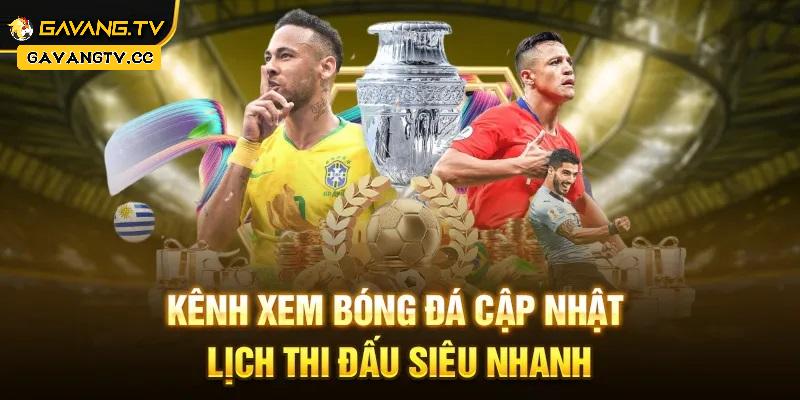 Gavangtv.cc | Thể Thao Đỉnh Cao | Tin Chất Lượng Mỗi Ngày 6 Hướng dẫn người đọc vào xem tin tại gavangtv
